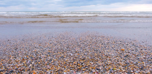 Small shells and sea waves on the sand beach, storm sea.