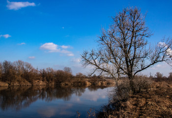 Winter shore of the Vistula, Krakow, Poland