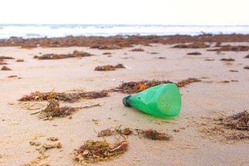 Part of green plastic bottle was brought to the shore on the sandy shore.