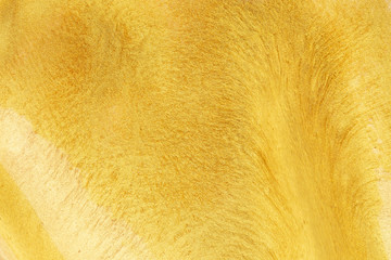 gold water color on paper background