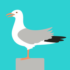 gull,vector illustration ,flat style, profile