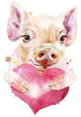 Watercolor portrait of mini pig with pink heart
