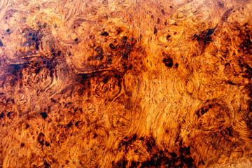 Afzelia burl wood striped exotic wooden beautiful pattern for crafts or abstract art background 