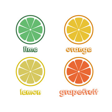 Fresh citrus fruits slices. vector illustration. Set of lime, lemon, orange and grapefruit with inscription.