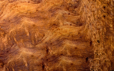 Afzelia burl wood striped Exotic wooden beautiful pattern for crafts or abstract art texture background 