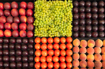 fruit and vegetable exhibits