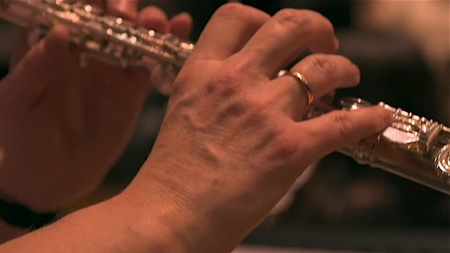 Flute player (close-up)