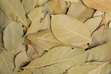 Dried bay leaves. Best flavoring. Top view. Food Background. Healthy food. Natural food.