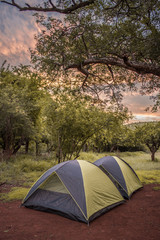 Two tents pitched in the campsite under a tree at sunset, in Umkhuze Game Reserve, Isimangaliso Wetland Park, South Africa