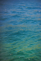 Sea surface turquoise abstract background. 