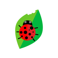 Ladybug on leaf vector illustration. Cartoon ladybug isolated in a flat style. Funny insects or beetles.