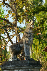 Lion à tête de fauconwat ton kwen