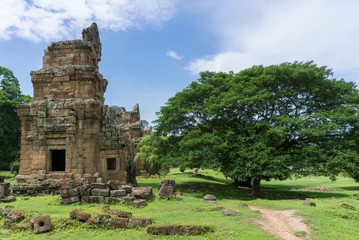 Fototapeta na wymiar Ancient ruins and huge tree with large canopy at Angkor temple complex