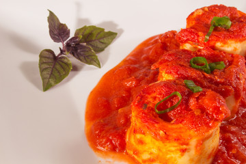 Traditional Italian Rondelli pasta with tomato sauceon rustic background