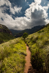 The Tugela Gorge hiking trail leading along a brightly lit hillside towards the Amphitheatre Mountain in the Drakensberg, South Africa