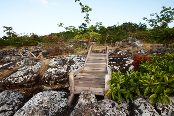 Wooden Bridge cross Knob Stone Ground is the famous travel place at Phuhinrongkla National Park in Thailand.