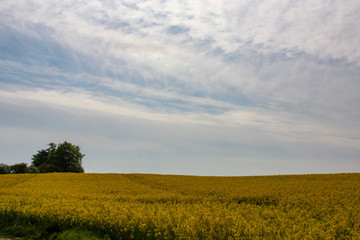 Lübecker Bucht