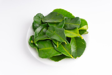 Fototapeta premium Kaffir lime leaf (Daun limau purut) isolated on white background