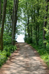 Lübecker Bucht © Detlev