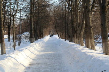 Photograph of the road in the winter forest.