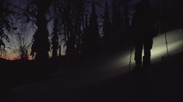 A man skiing in a night snowy forest with a flashlight, rear view. Dolly shot skitour in Siberia