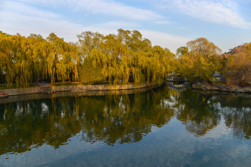Chinese garden with stone bridge at sunset. Trees glow yellow-green in the sun.