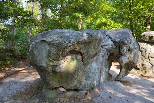 L'&eacute;l&shy;&eacute;phant d'apremont