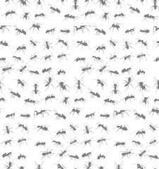 ant silhouette seamless white background, vector