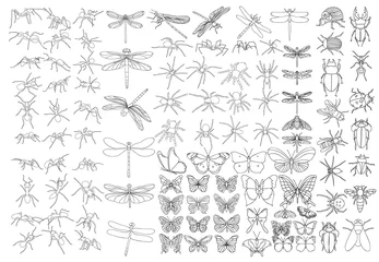 Foto op Plexiglas set of sketches of insects, isolated, vector © zolotons