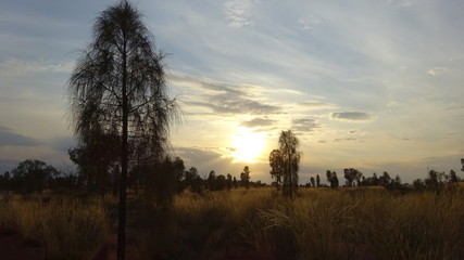 Fototapeta na wymiar Outback Australia Sunrise