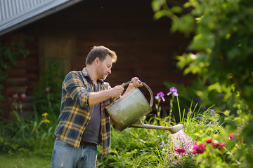 Handsome middle age man watering flowers in the yard in the summer.