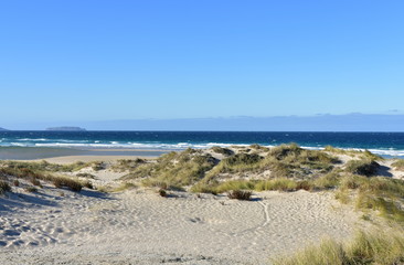 Wild beach with sand dunes and grass. Blue sea with waves and white foam, clear sky, sunny day. Galicia, Coruña Province, Spain.
