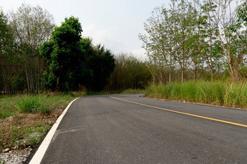 Fototapeta na wymiar Country of asphalt road and yellow line cuts through rural areas with rubber trees and trees.