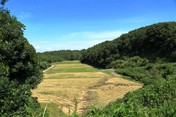 Fototapeta na wymiar 日本の田舎の風景