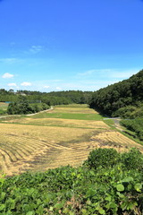 日本の田舎の風景