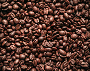 Roasted coffee beans background, texture with copy space