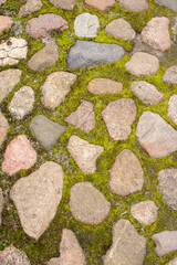 mossy stone pavement