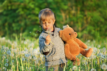 Child in spring. A small boy among dandelions on a meadow. Springtime view. A child with a teddy bear blows dandelions.