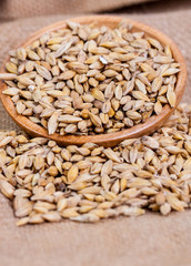 Barley beans. Grains of malt close-up. Barley on sacking background. Food and agriculture concept. Hops. 