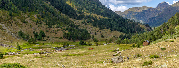 Pyrenees Green Valley