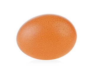 Single brown chicken egg isolated on white background