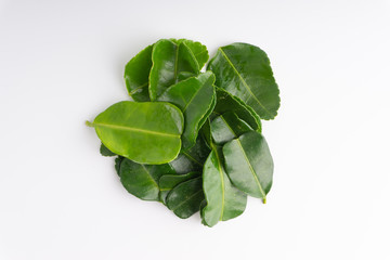 Fototapeta na wymiar Kaffir lime leaf (Daun limau purut) isolated on white background