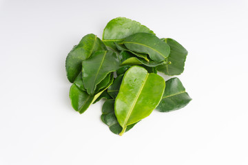 Kaffir lime leaf (Daun limau purut) isolated on white background
