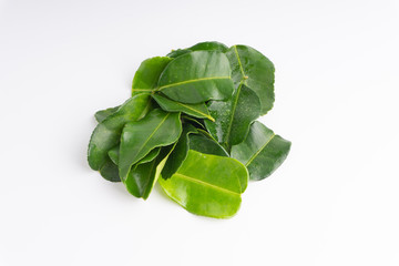 Kaffir lime leaf (Daun limau purut) isolated on white background