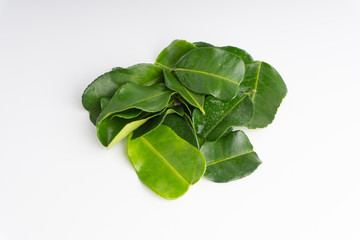 Kaffir lime leaf (Daun limau purut) isolated on white background