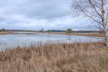 Klärteiche bei Volkmannsdorf im Dreba-Plothener-Teichgebiet