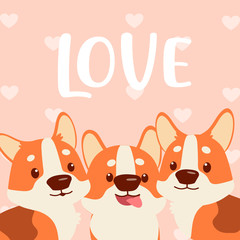corgi love you