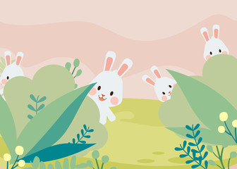 rabbit hind and seek in the garden