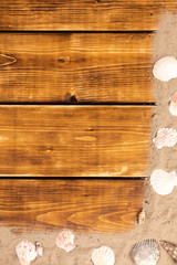 beach frame with sand and shellfish