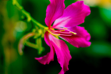 Abstract colored background close up. Macro.